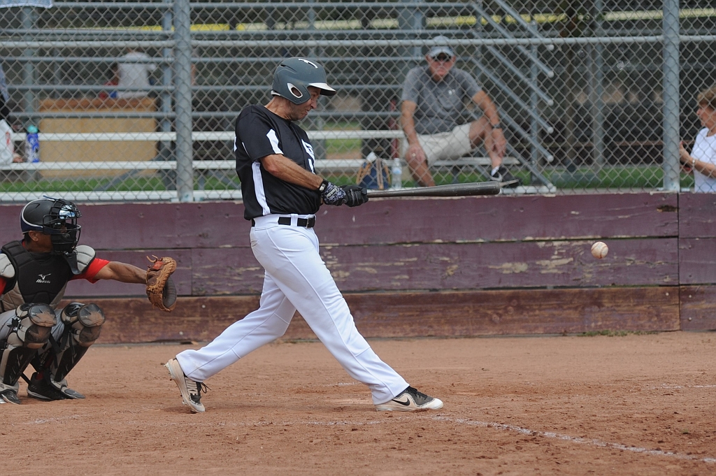 Seals_2019-09-22 (340).JPG - (c)2010 DeVetter